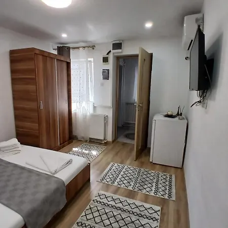 Casa Anastasia-constanta Delfinariu ホームステイ *