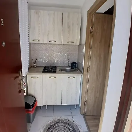 ホームステイ Casa Anastasia-constanta Delfinariu コンスタンツァ