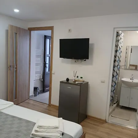 Casa Anastasia-constanta Delfinariu ホームステイ *